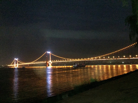 武汉鹦鹉洲大桥夜景