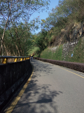 公园道路风景