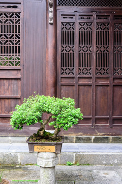 龙川风景