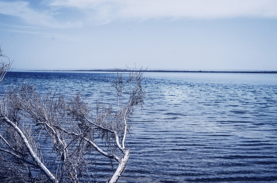 青海湖