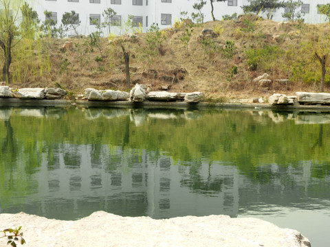 小区水景  小区池塘