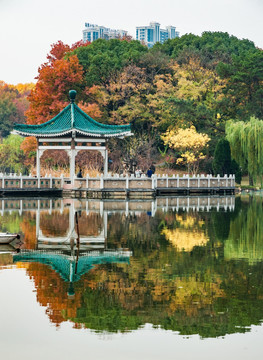 武汉东湖湖景