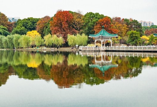 东湖听涛景区