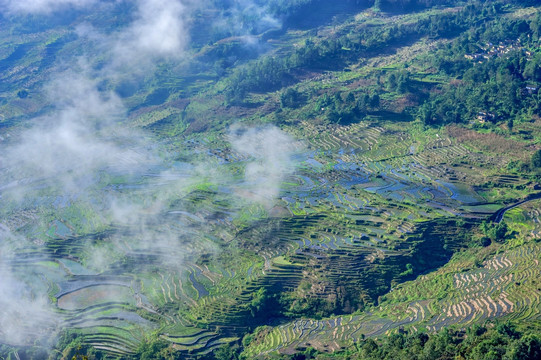 梯田 撒马坝梯田