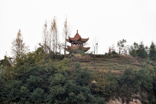 山头公园风景