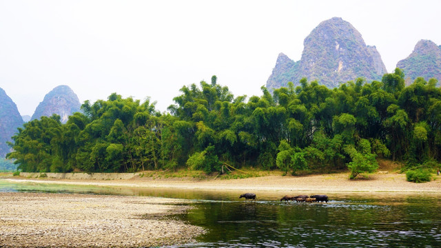 阳朔漓江风景