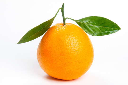 单个橙子高清
