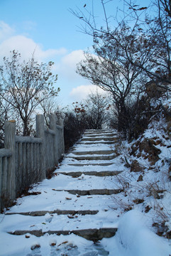 大连绿山步道雪景