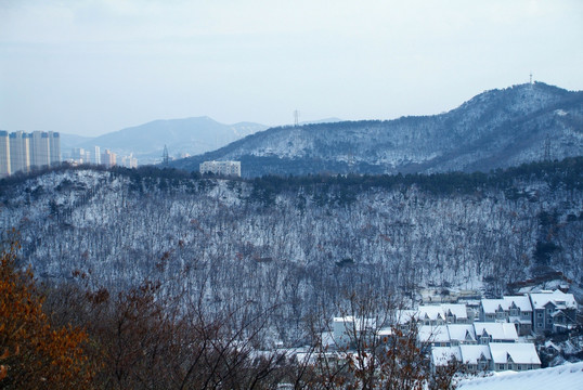 大连绿山雪景