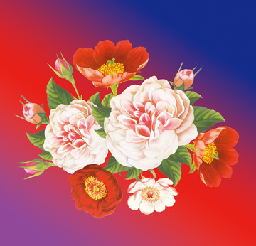 月季花團(tuán)
