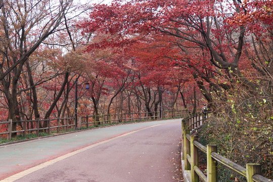 山路