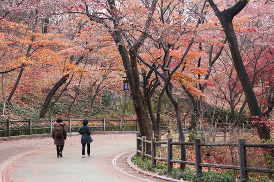 山路