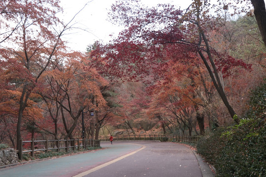 山路