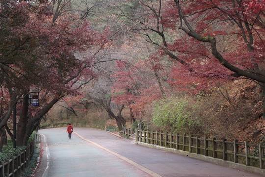 山路