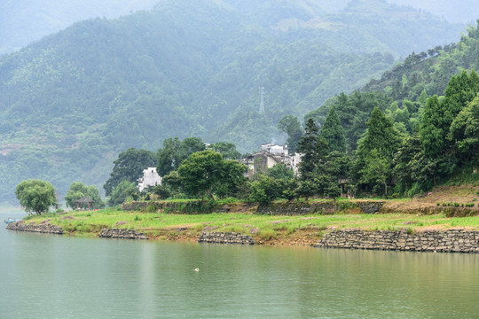 青山绿水