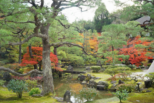 日本东京风光旅游摄影