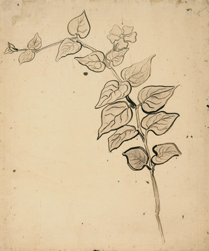文森特梵高素描畫