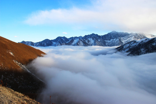 高山 雪山 云海