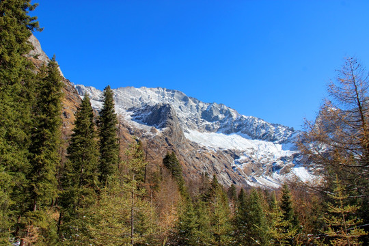 双桥沟 高山 雪山