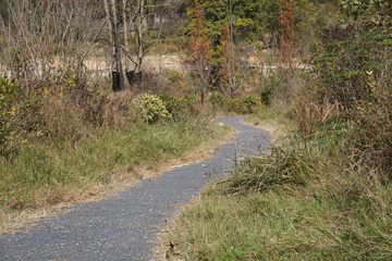 山间小路