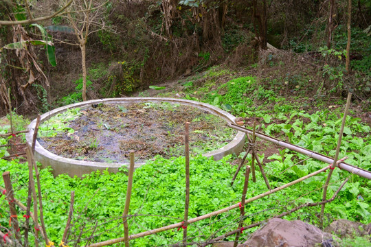 山区田园风光 蓄水池沤肥