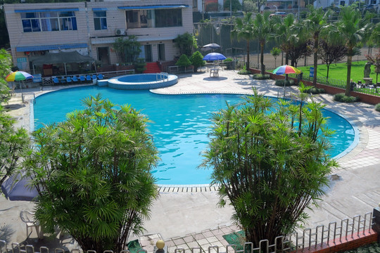 酒店户外游泳池