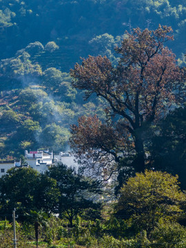 石城程村