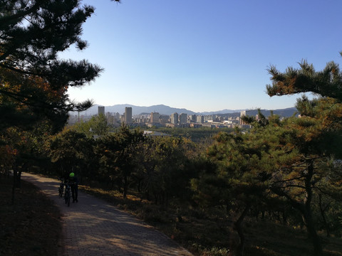 城市远景 城市风光