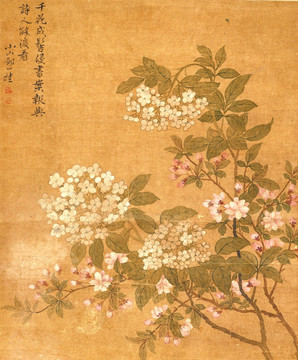 桂花飄香