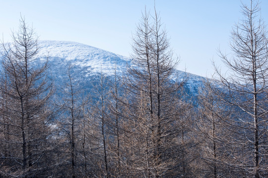 五台山雪景6