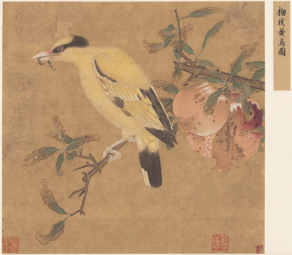 毛益榴枝黃鳥圖