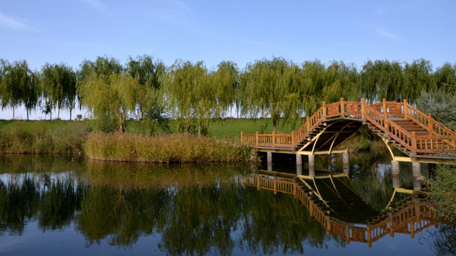 甘肃高台国家级湿地公园