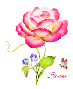 一枝花