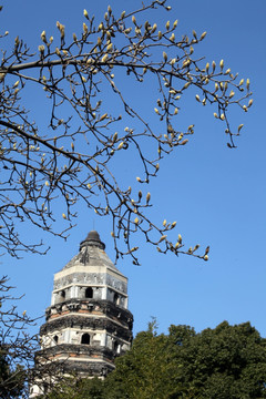 苏州虎丘塔