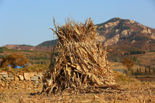 柴垛 田野 农村