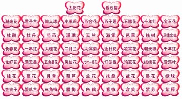 花草名稱牌