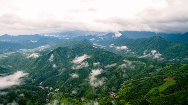 雨过红桃