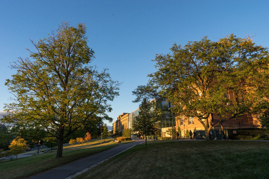 康奈尔大学风光