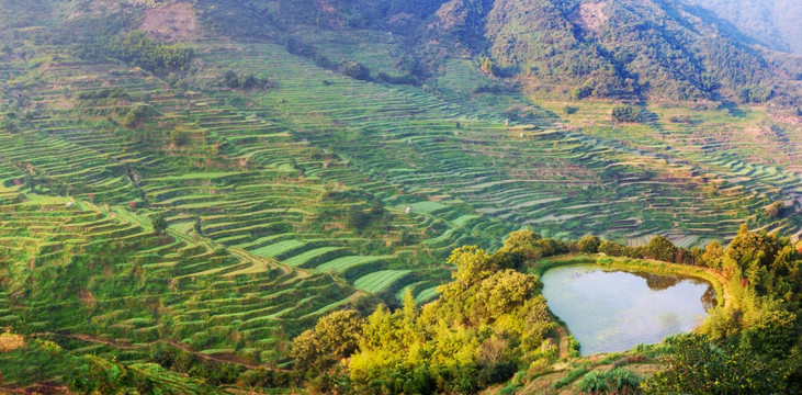 篁岭梯田全景图