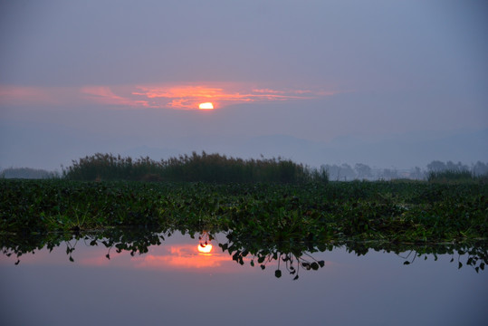 湿地景观