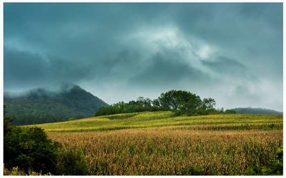 田野 山