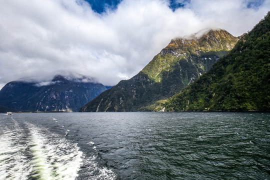 米尔福德峡湾