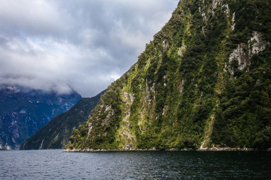 米尔福德峡湾