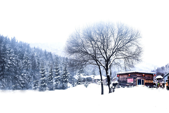 雪乡山村