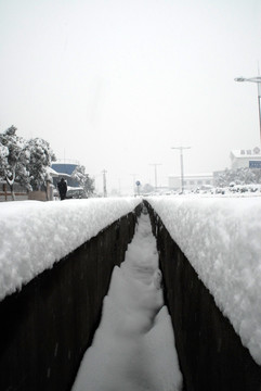 雪景 大雪 冰雪 白雪 鹅毛大