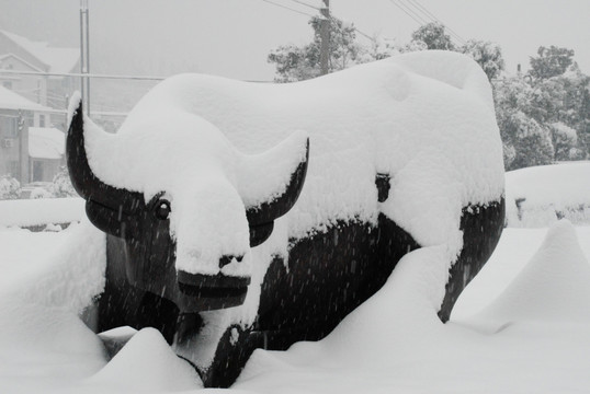 雪景 大雪 冰雪 白雪 鹅毛大