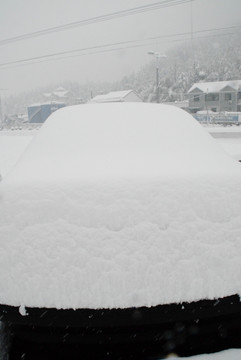 雪景 大雪 冰雪 白雪 鹅毛大