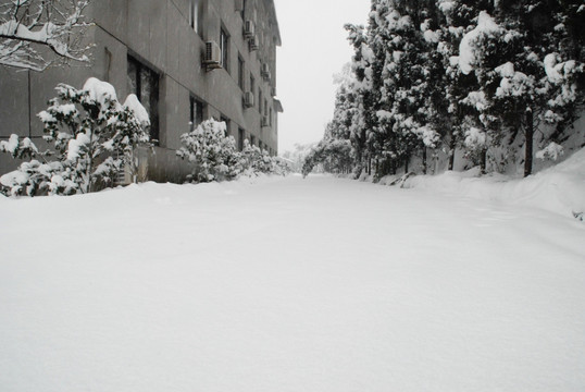 雪景 大雪 冰雪 白雪 鹅毛大