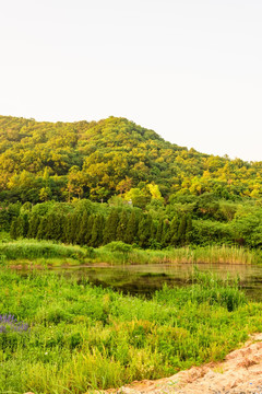 村边小山