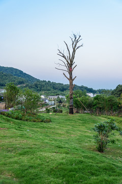 不老村村景